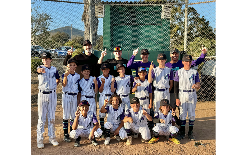 2024 Majors Division Champions - Diamondbacks!